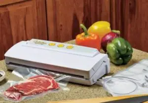 Cabela’s vacuum sealer amazon